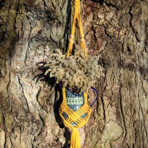 Żółty kwietnik makrama z prostymi ramionami wisi na drzewie z suszkami w wazonie